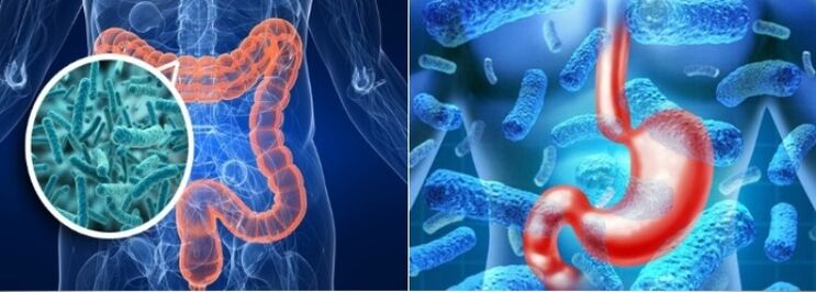 Широка тения